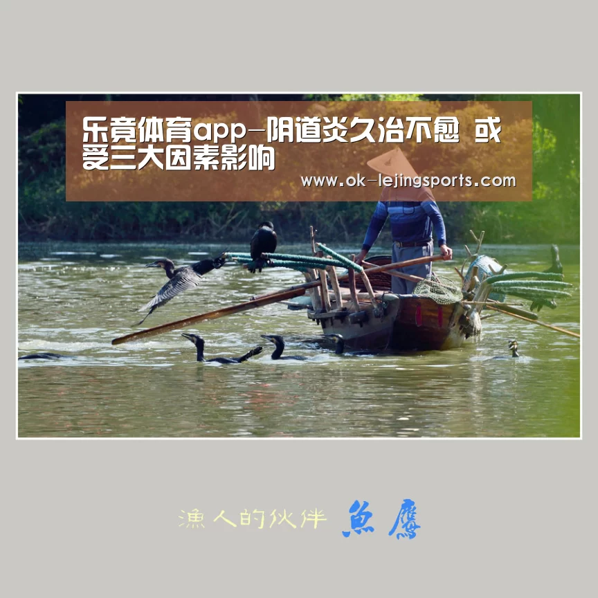 乐竟体育app-阴道炎久治不愈 或受三大因素影响(图4) 乐竟官网平台