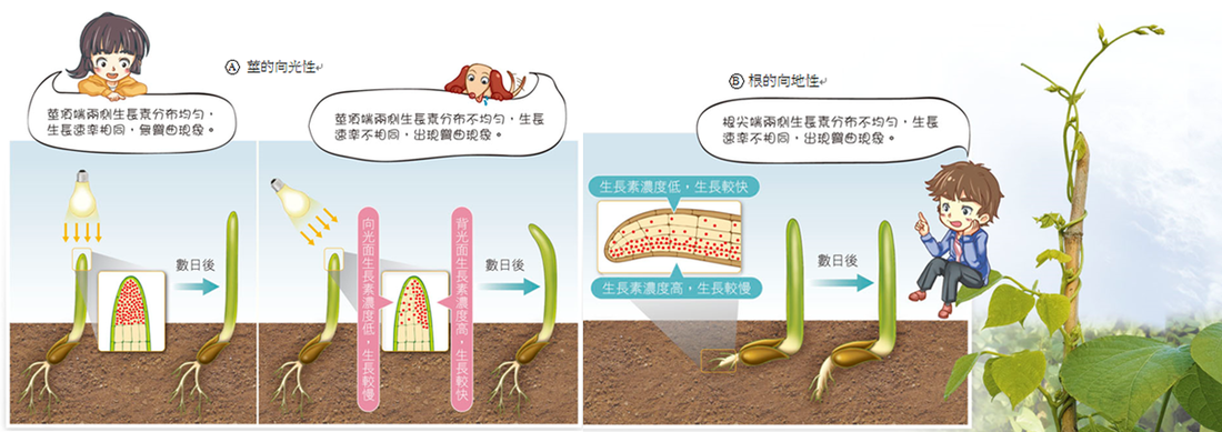 啤酒魔芋鸭,做法简单又美味,在家不可错过的美食‘乐竟体育app’(图1) 乐竟体育官网