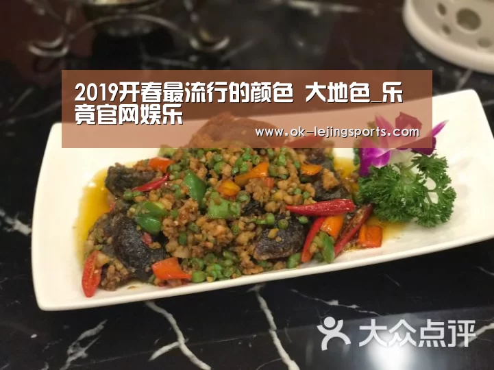 乐竟体育官网
