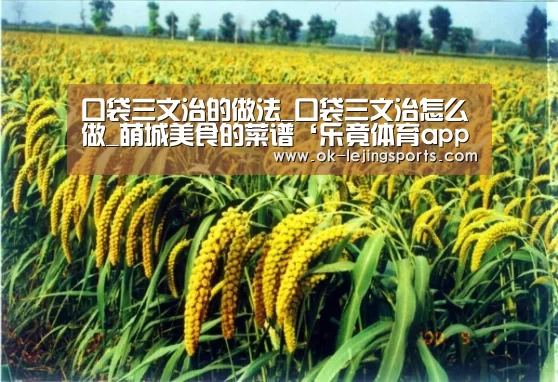 乐竟官网平台