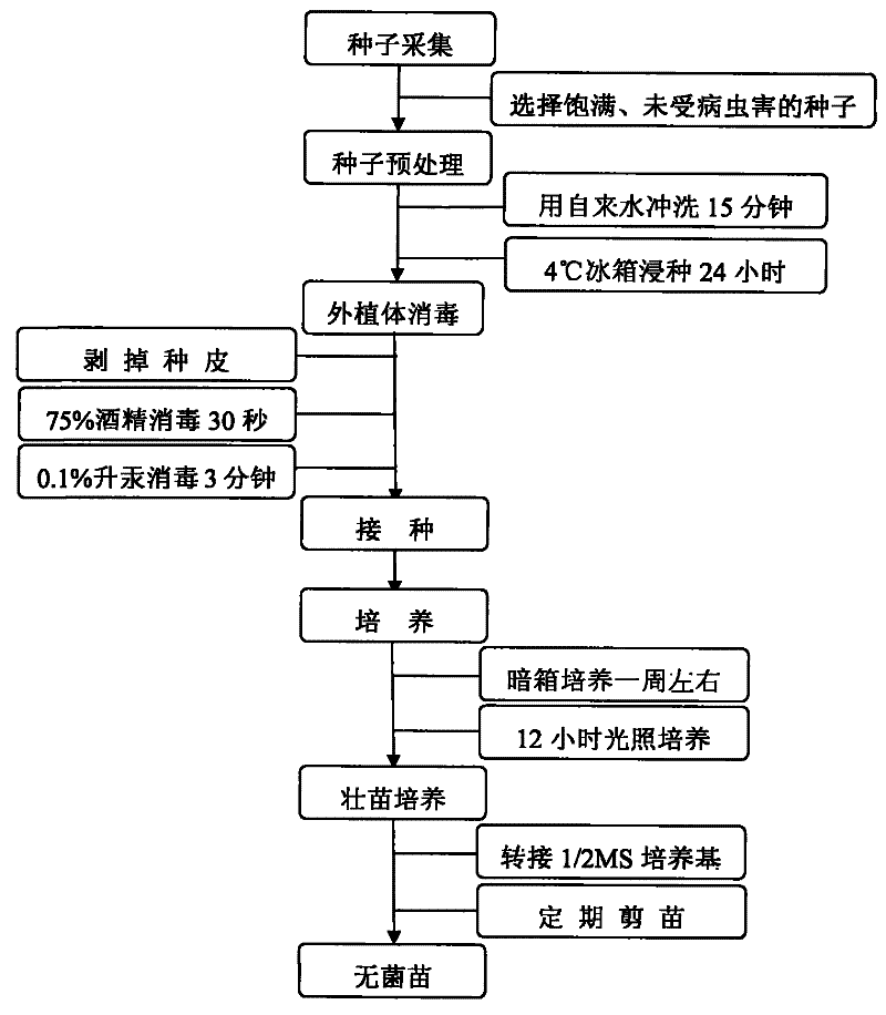 乐竟体育官网